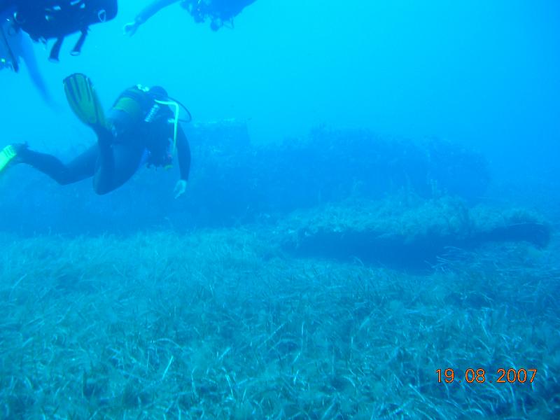 DSCN5903